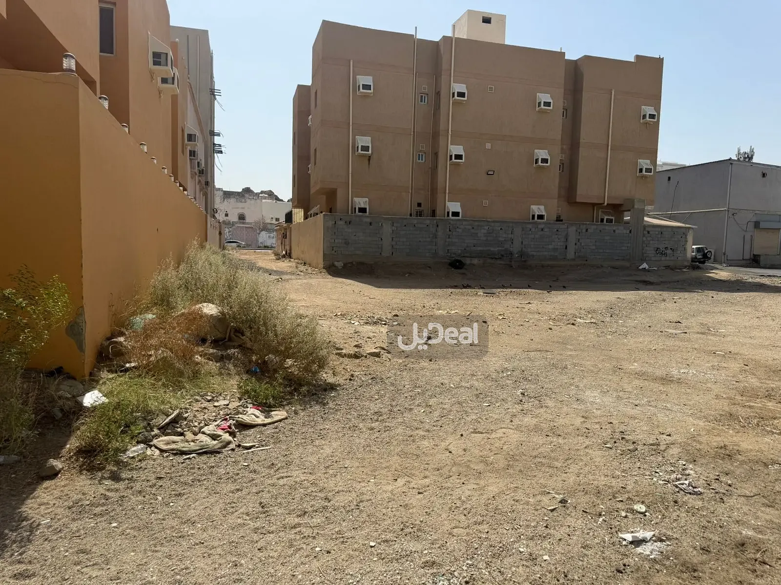 Image 9