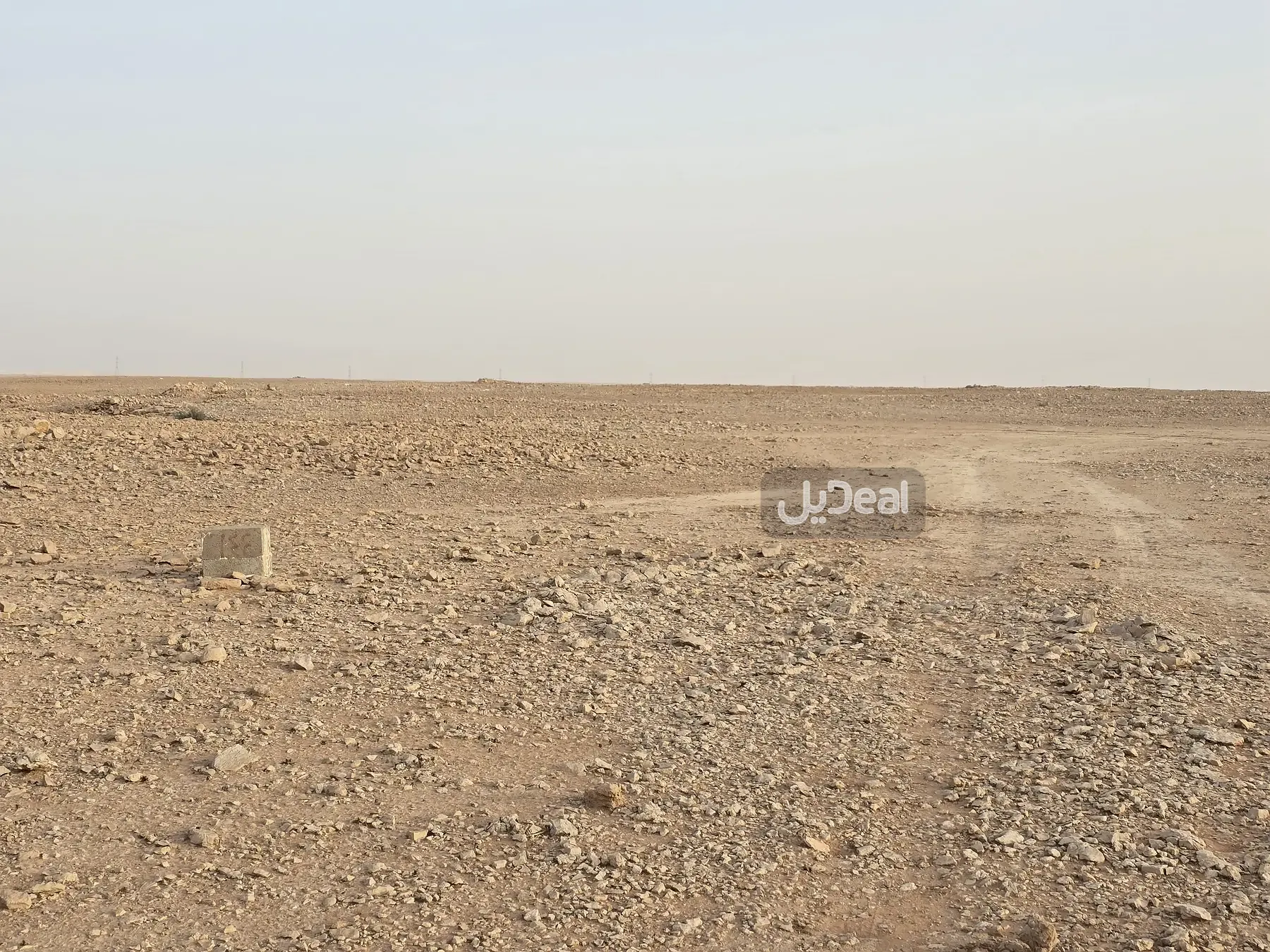 صورة الإعلان