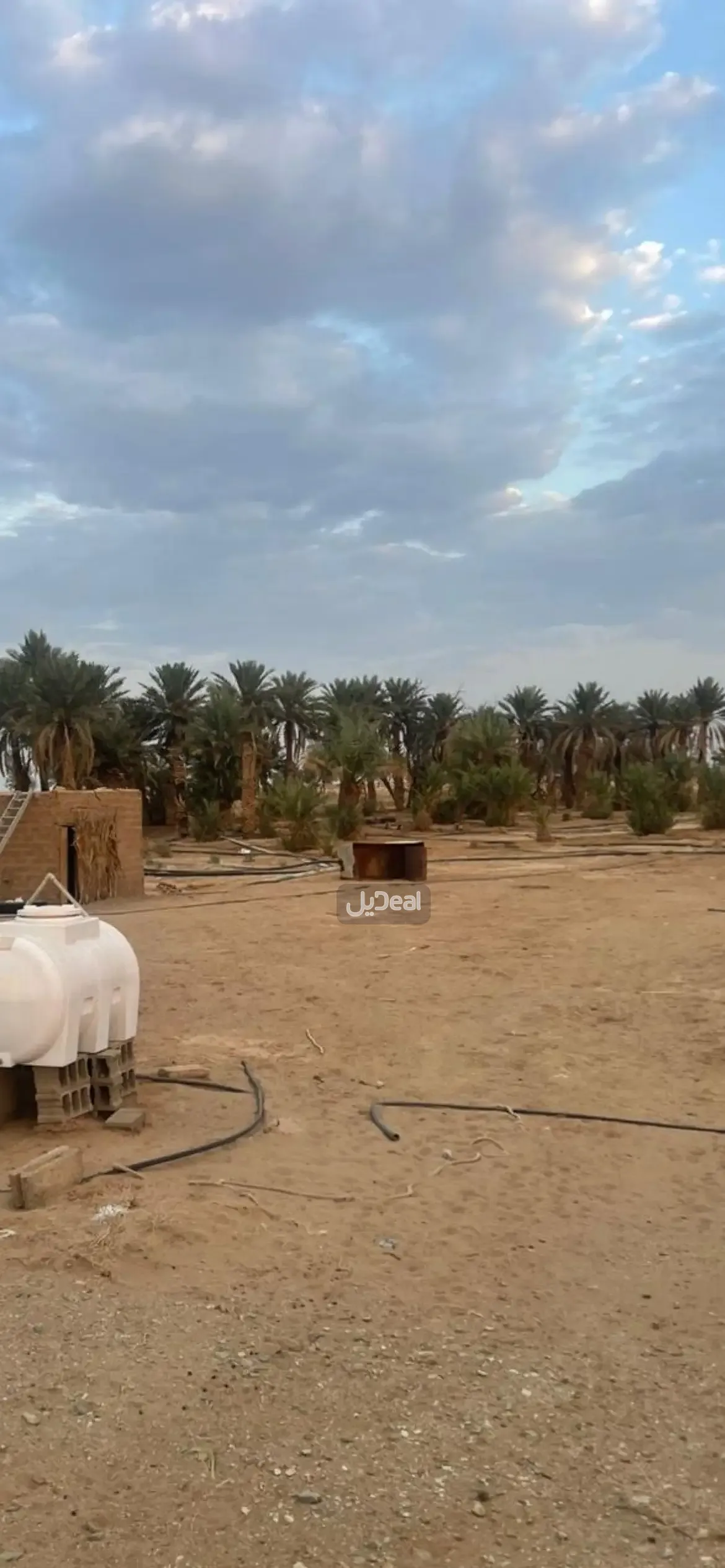 مزرعة للبيع