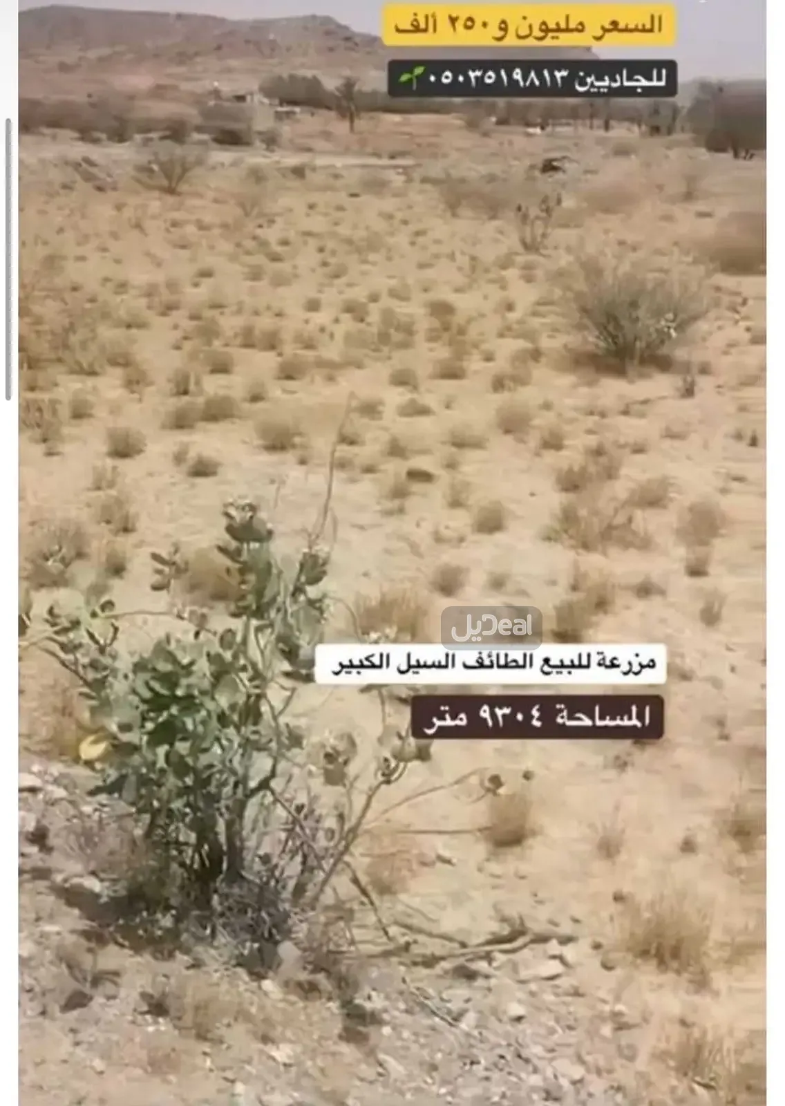 مزرعة للبيع