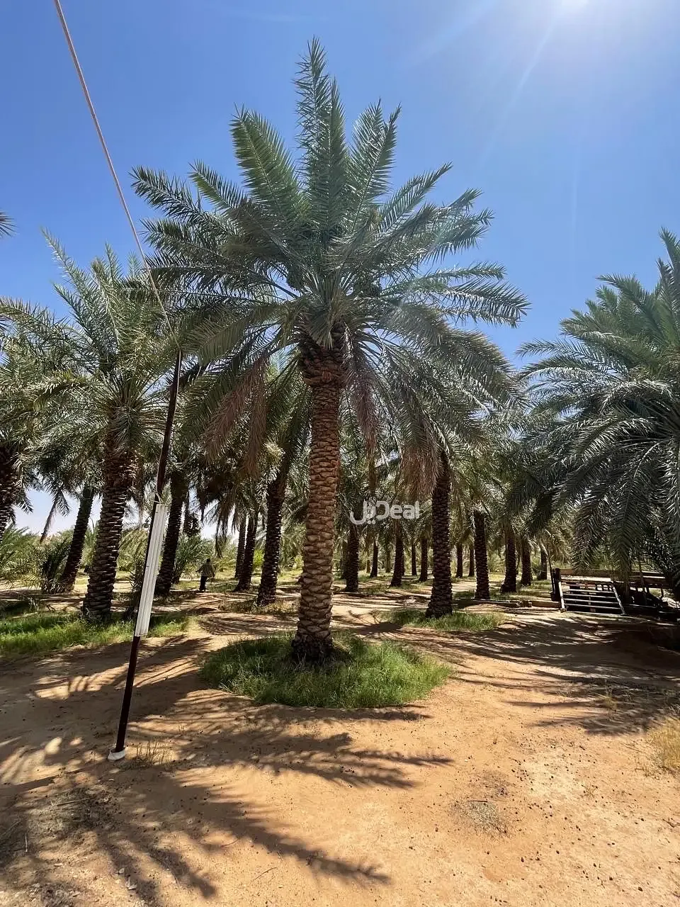 مزرعة للبيع