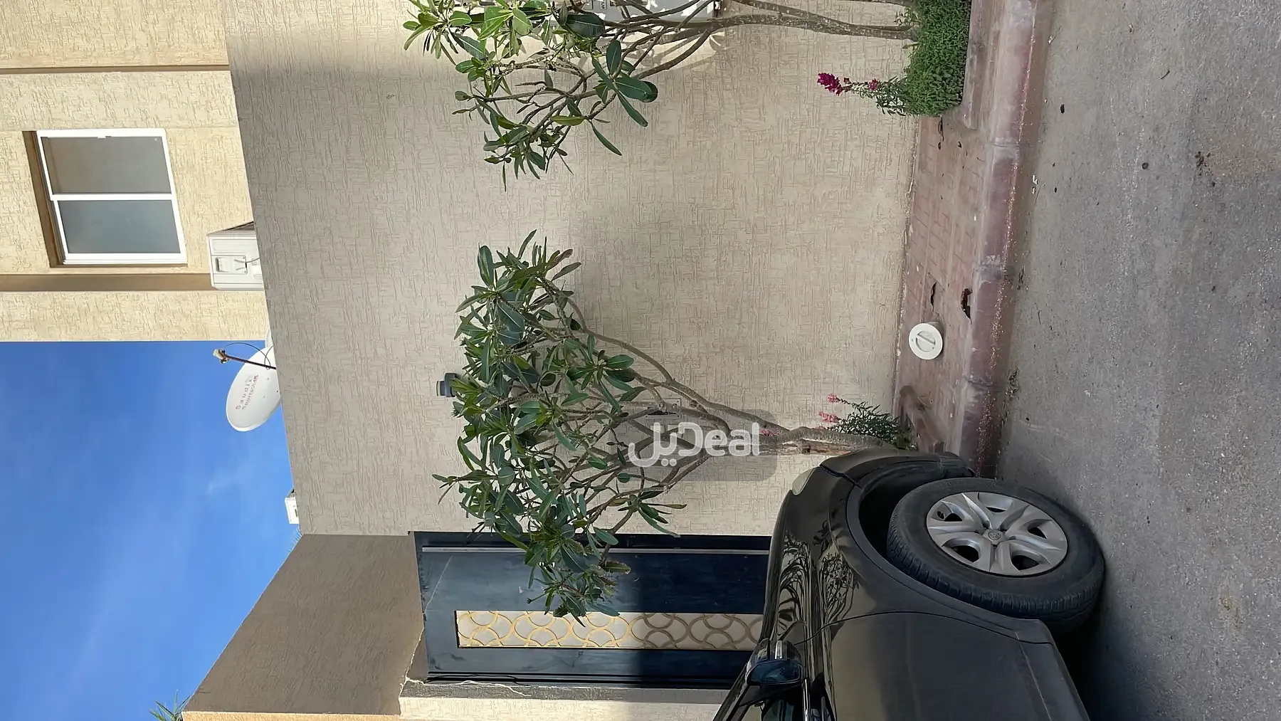 صورة الإعلان