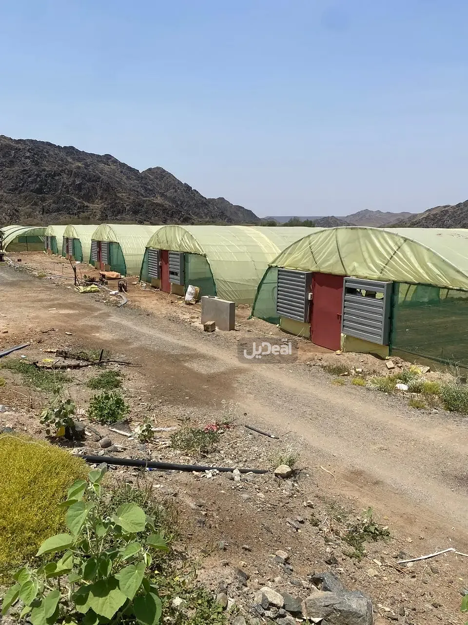 مزرعة للبيع