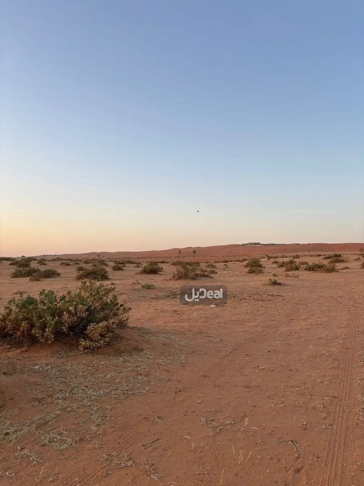 Image 10