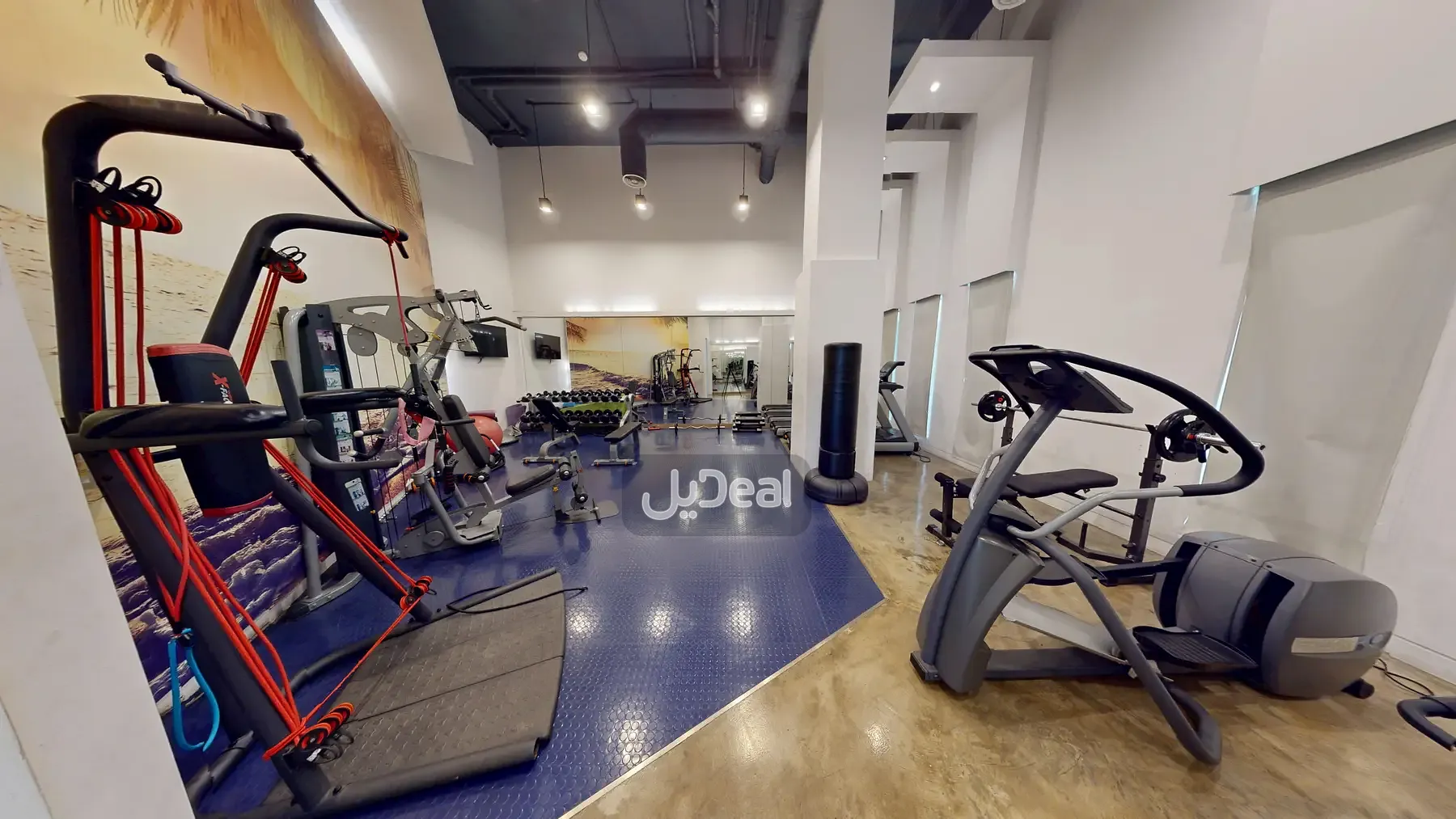 شقة للإيجار