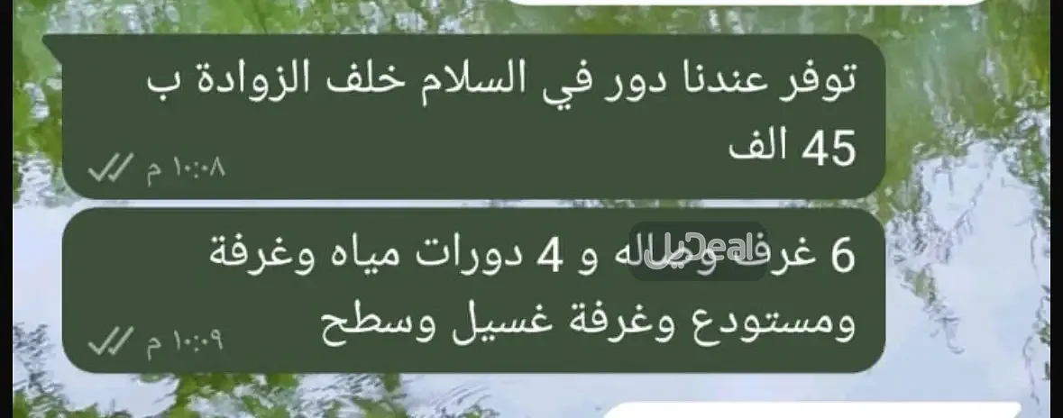 صورة الإعلان