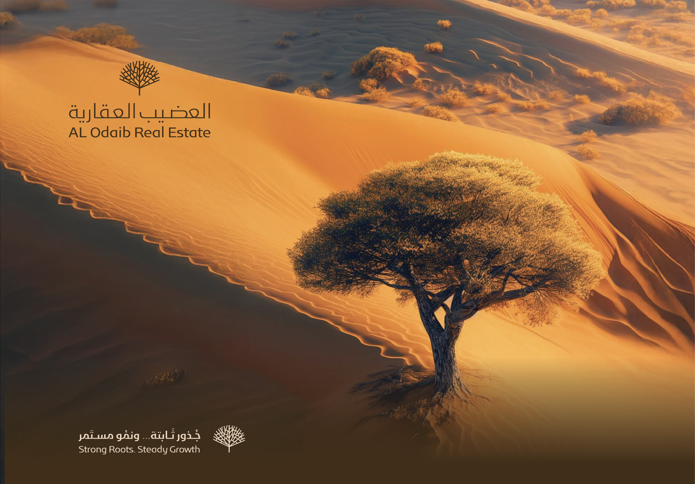 صورة الإعلان