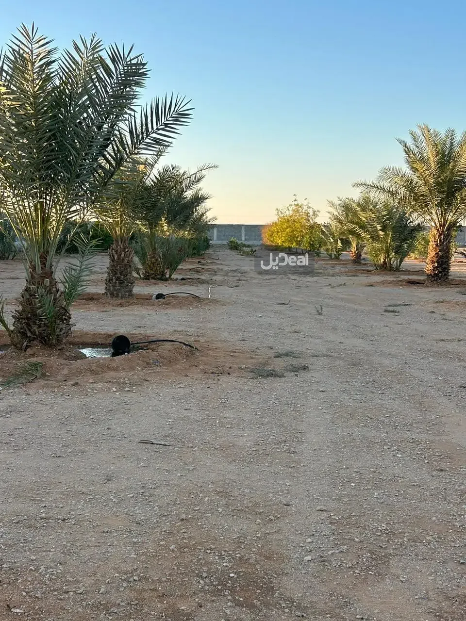 مزرعة للبيع