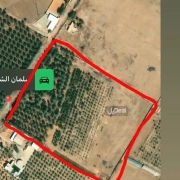 مزرعة للبيع