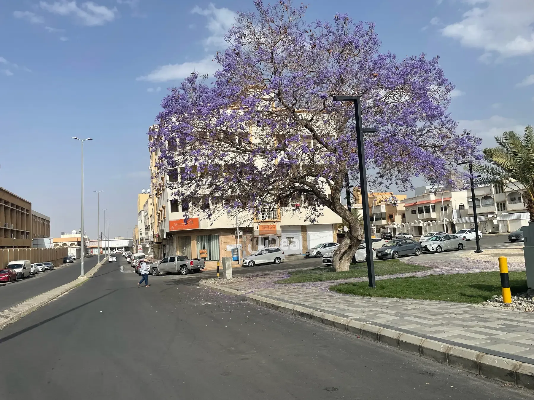 شقة للإيجار