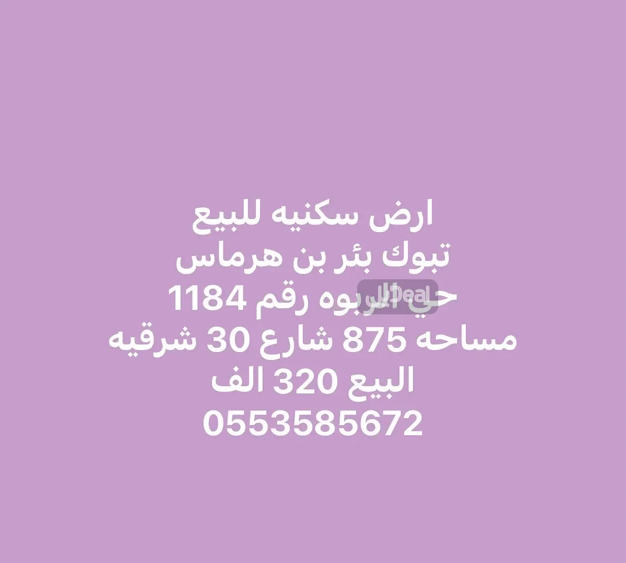 حي  الربوه  مركز البئر .