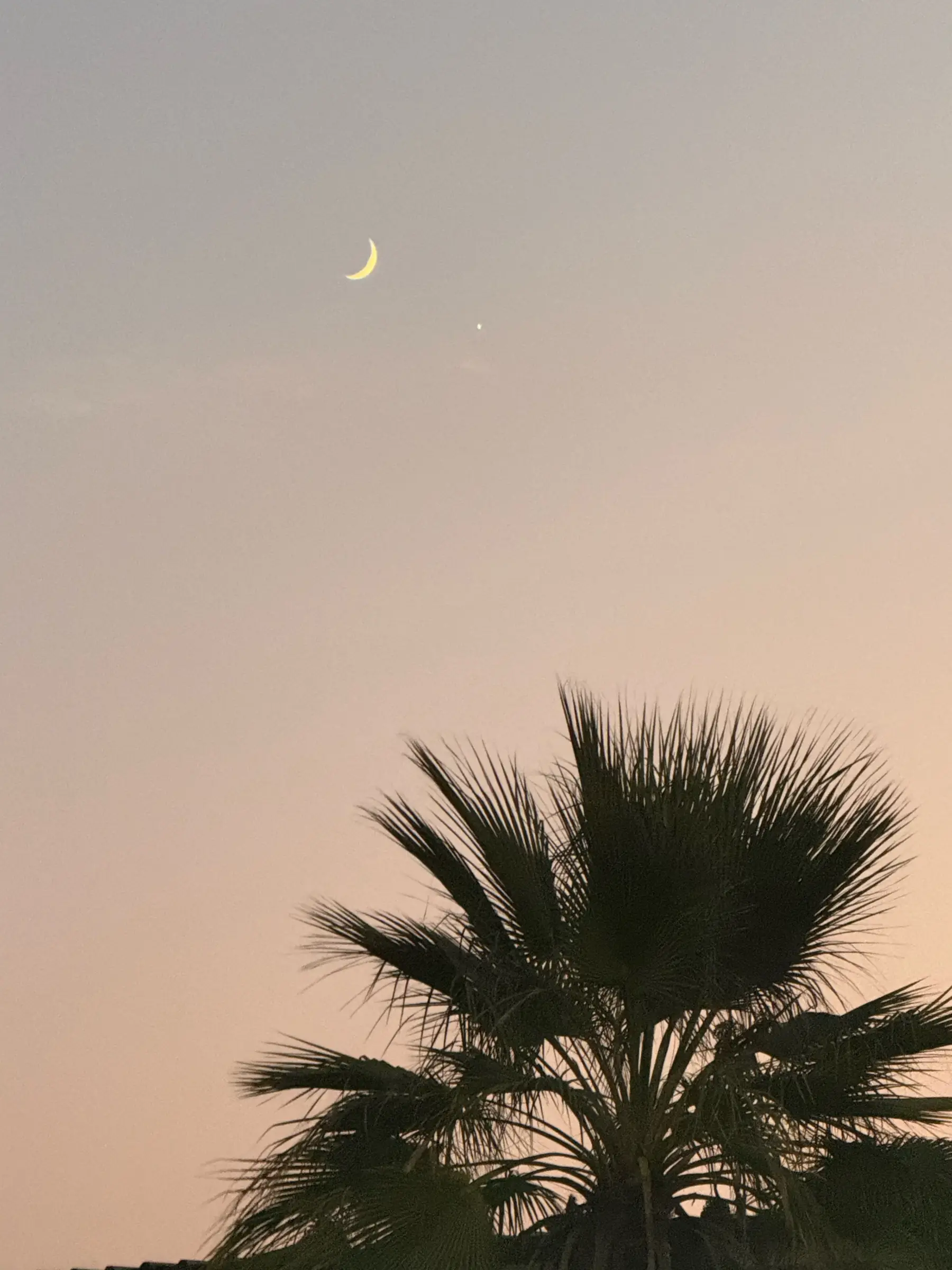 الوسيط العقاري : عبدالقادر عبدالمحسن