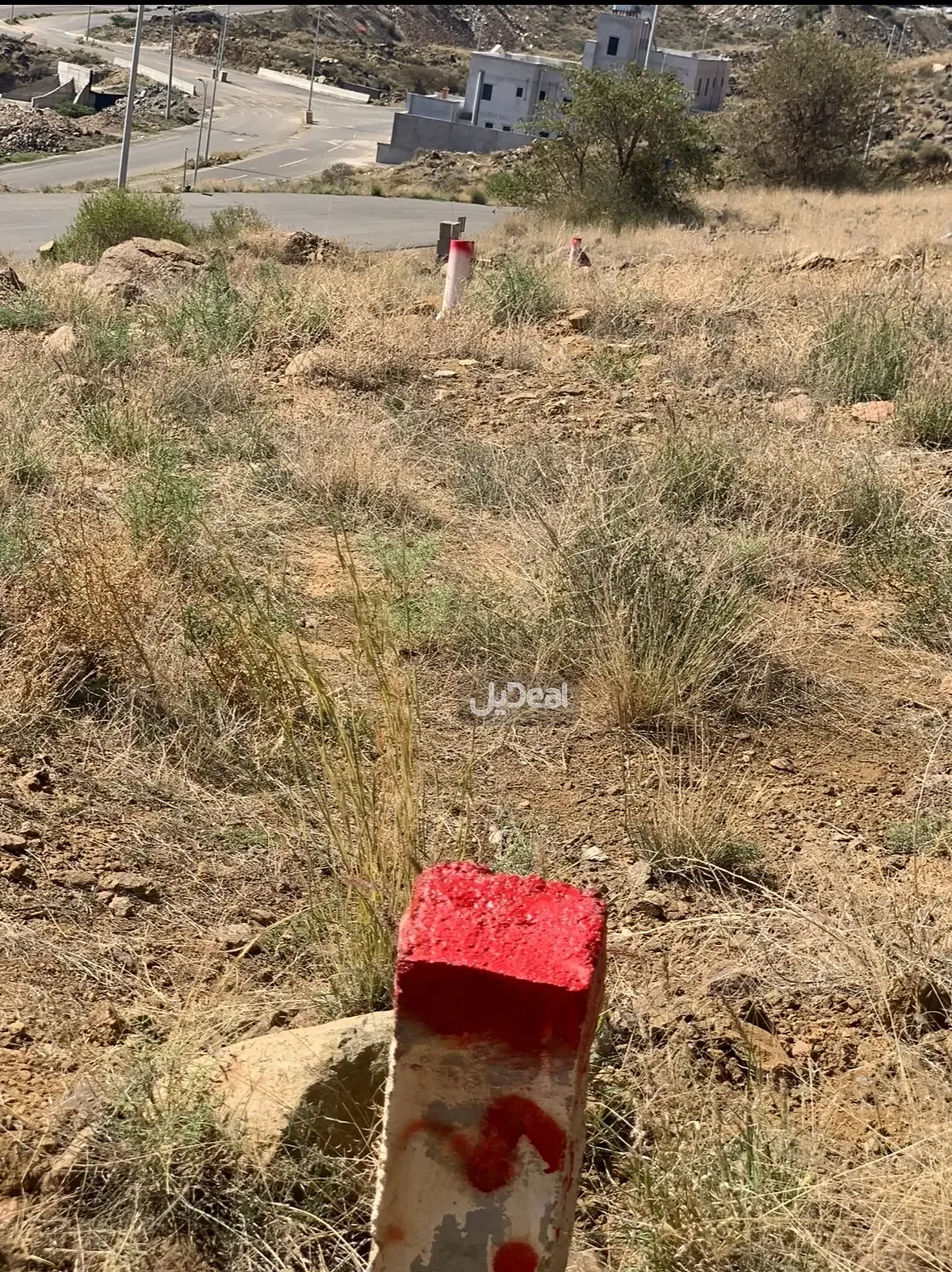 ارض للبيع