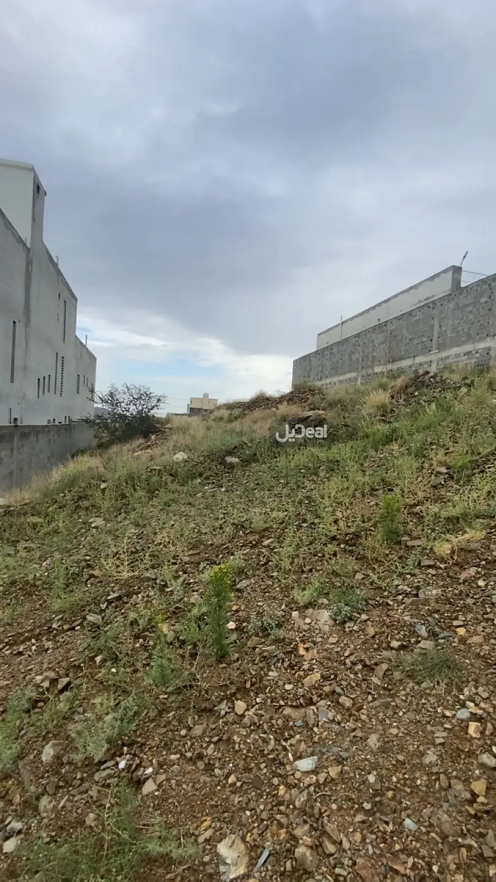 ارض للبيع