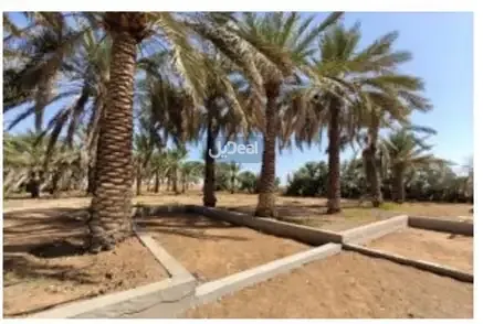 قطعة الارض الزراعية  رقم 3 / 4 من المخطط رقم  82 مخطط الشغوه رقم 1  محافظة الشنان .