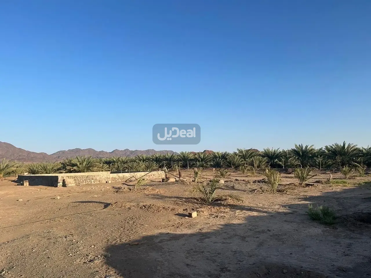 مزرعة للبيع