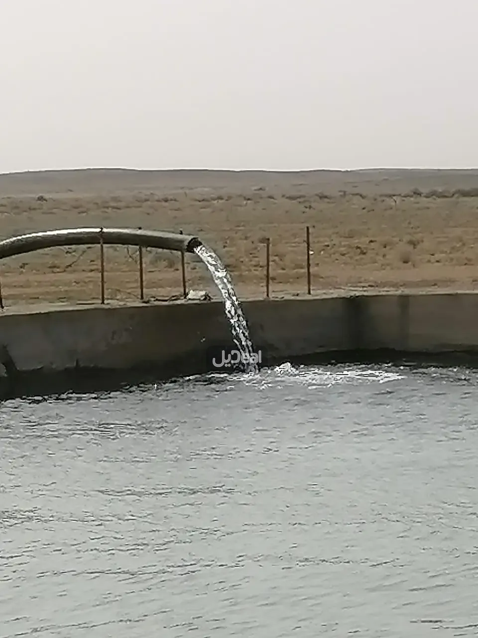 مزرعة للبيع