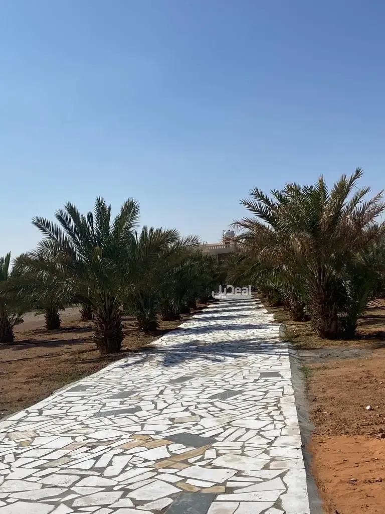 مزرعة للبيع