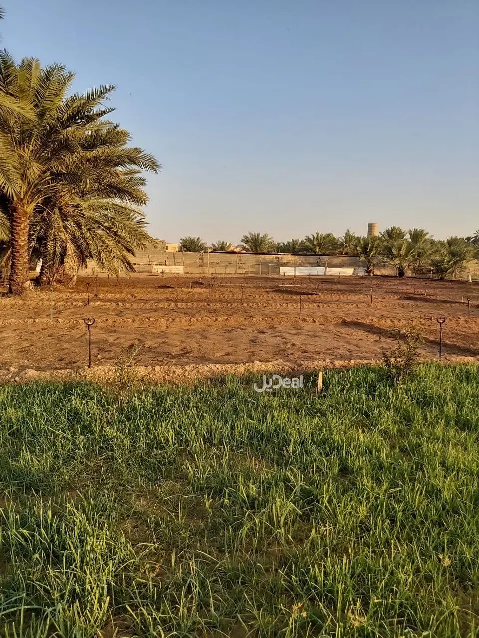 مزرعة للبيع