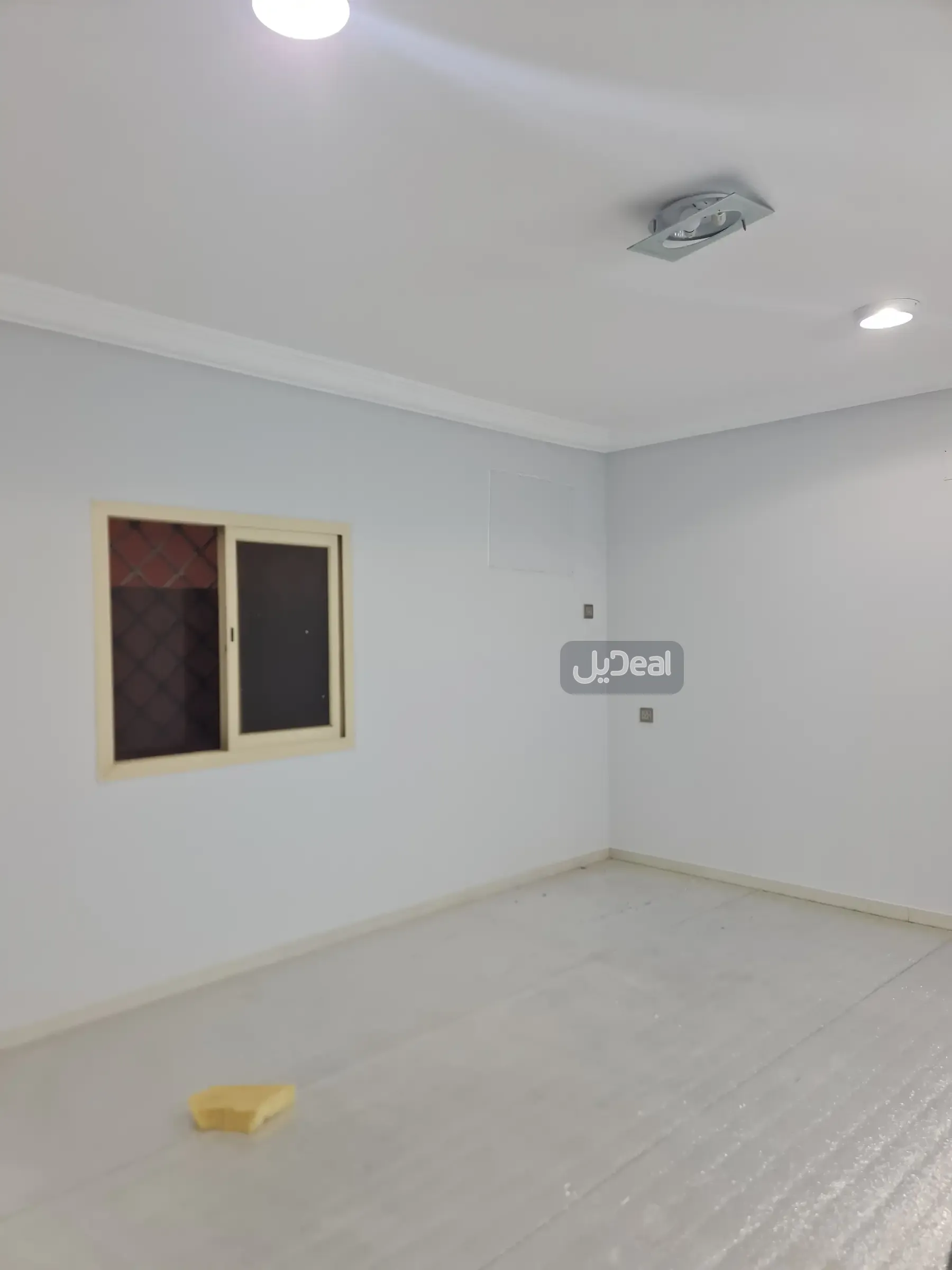 شقة للإيجار